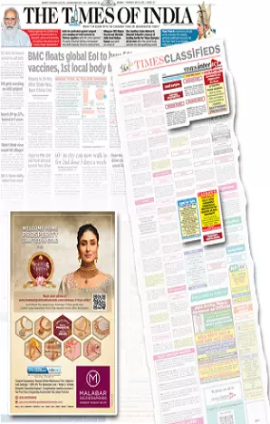 Himalayan Mirror tearsheet proof